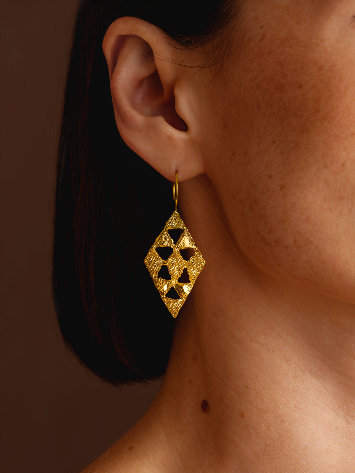 The Raw Vision Earrings