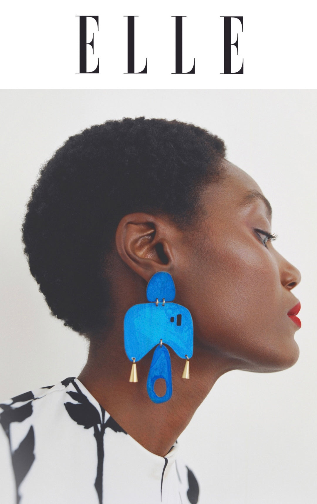 The SIA Dove Earrings in Blue